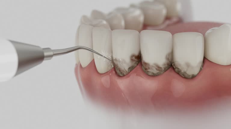 Reliable Dental contractor in North Branch, MI by Dentist Open Now