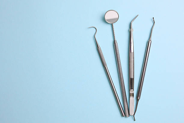 Top rated local Dental specialists in North Branch, MI
